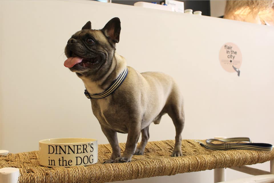 Flair in the city, le nouveau Petshop bio, mode & déco