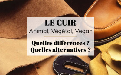Cuir vegan ou cuir végétal, 8 vraies alternatives au cuir