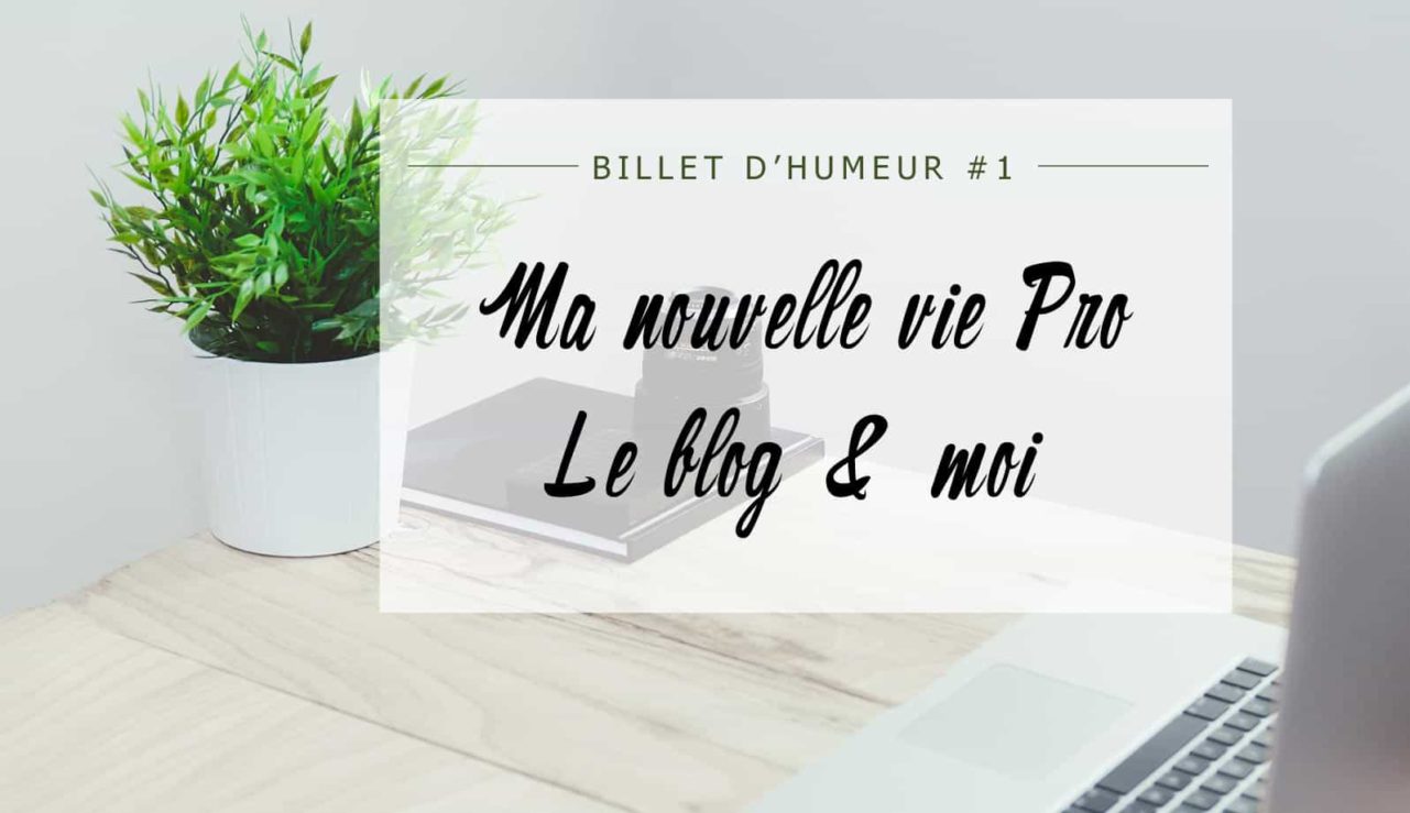 Billet d&rsquo;humeur : Ma nouvelle vie pro, le blog & Moi