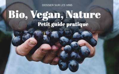 Vin bio, Vin vegan, Vin biodynamique, Vin nature : Quelles différences ?