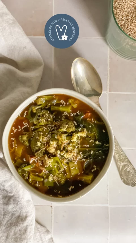 bouillon de légumes miso tofu recette vegan