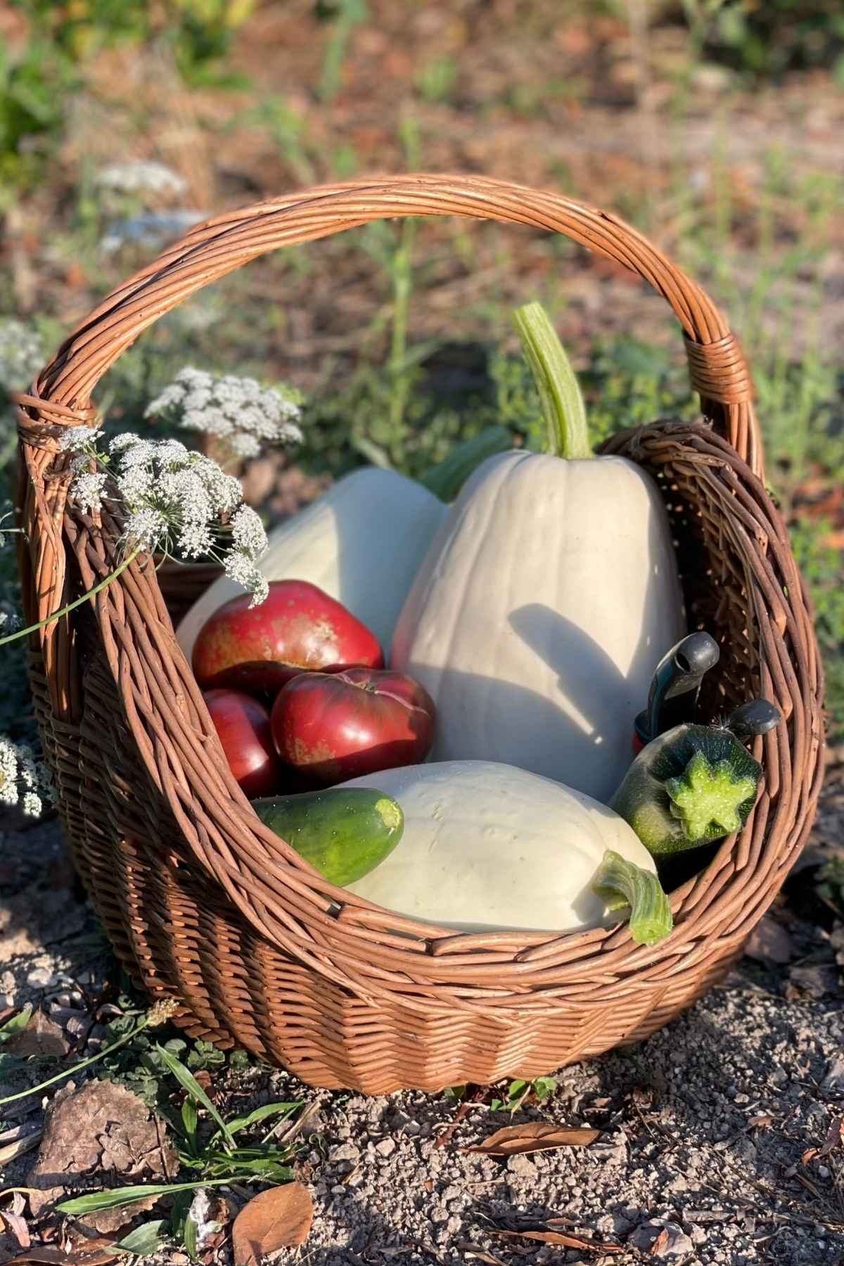 10 astuces pour manger bio sans se ruiner