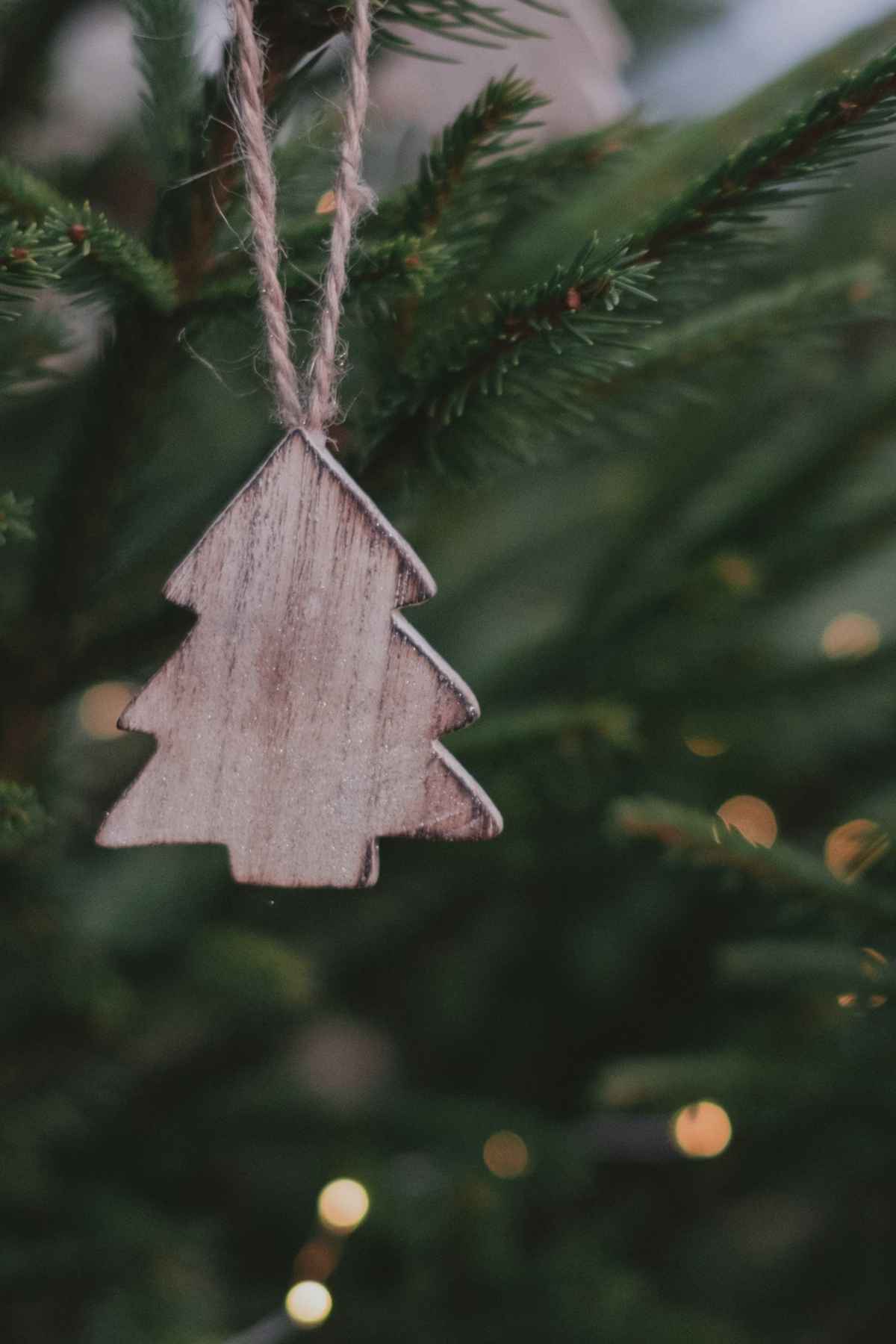 15 cartes cadeaux en ligne écolos à offrir (+5 gratuites à imprimer)