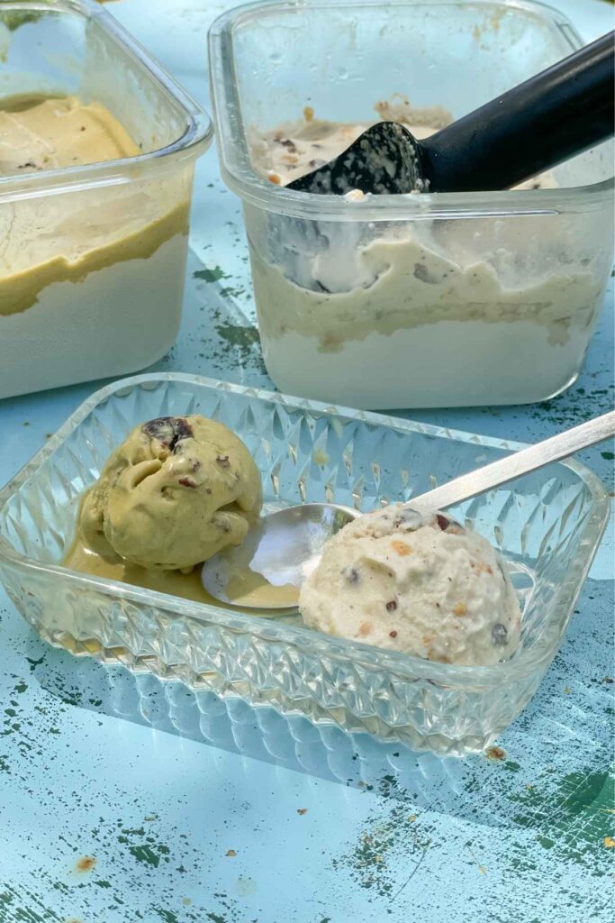 2 recettes de glaces vegan à la Sorbetière
