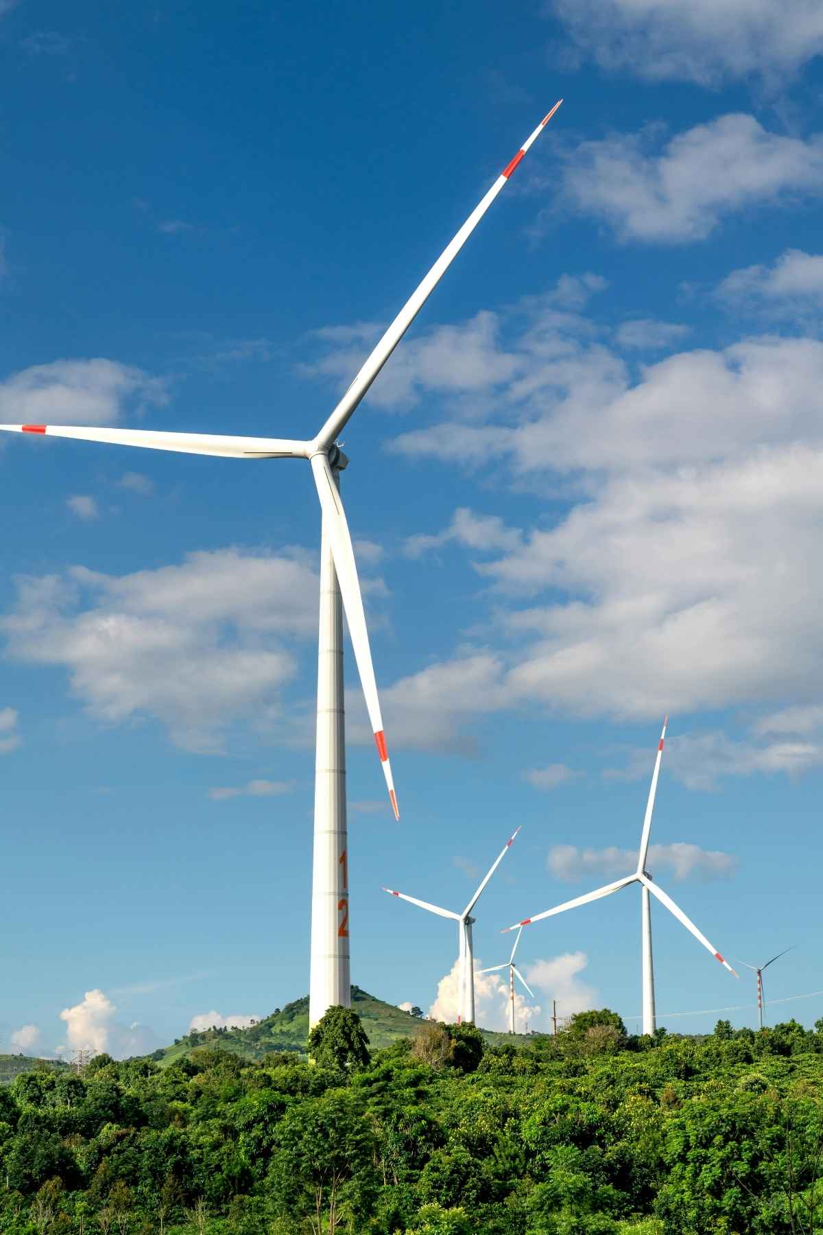 Comprendre l’énergie verte (renouvelable) avec ekWateur