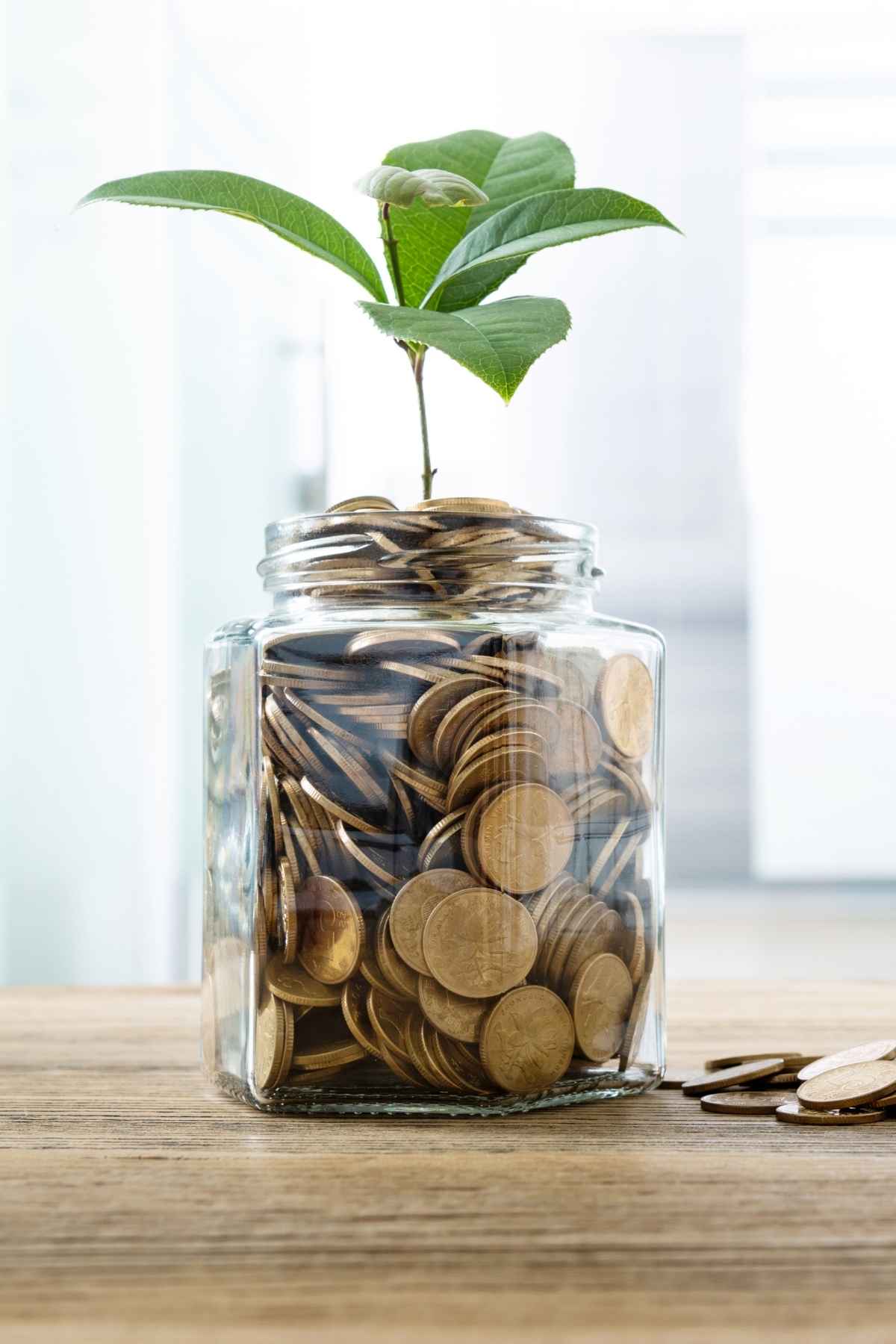 Épargne éthique Goodvest _ avis et guide pour épargner et investir responsable