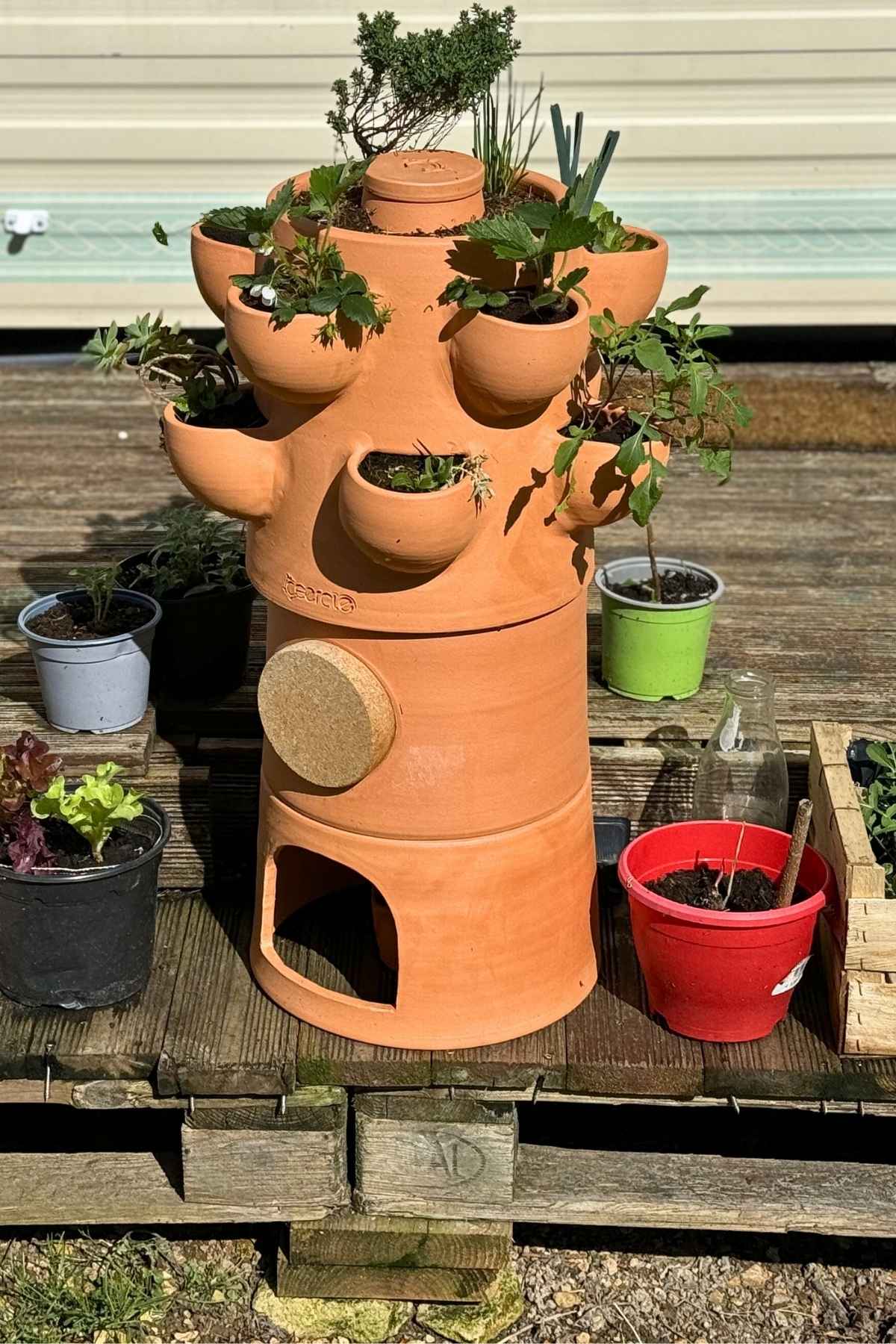 Lombricomposteur CEERCLE _ Le design en terre cuite pour composter chez soi