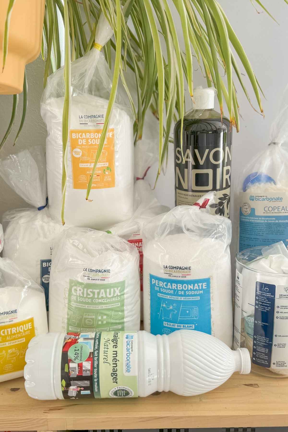 Nettoyage écologique _ Les incontournables de La Compagnie du Bicarbonate + 12 recettes