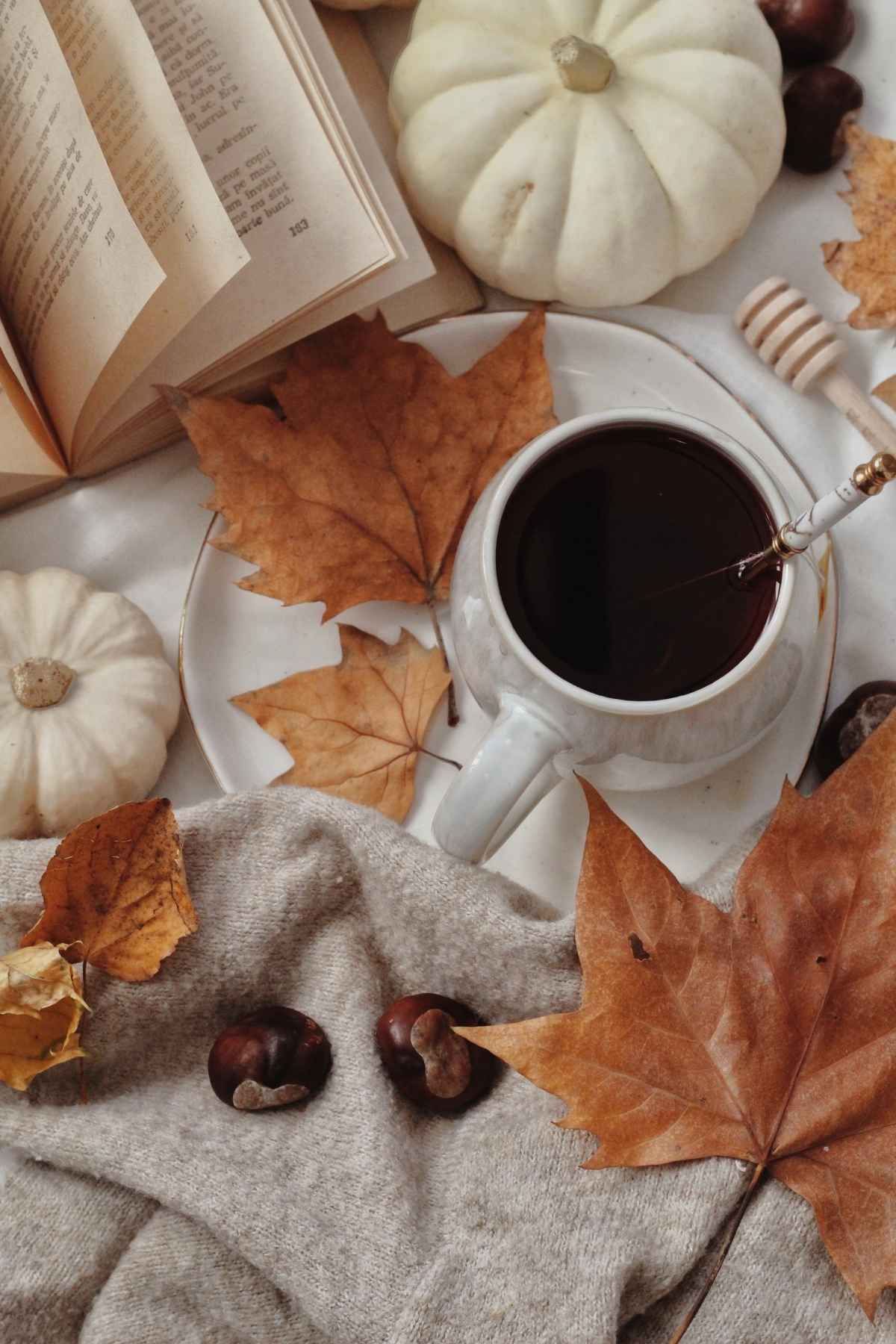 ebook d’automne offert 🍁 avec plein d’astuces écolos à l’intérieur