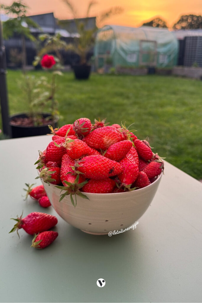 Fraises fraiches pour crufiture maison aux graines de chia