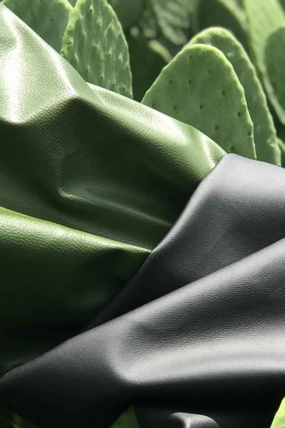 Cuir vegan ou cuir végétal, 8 vraies alternatives au cuir