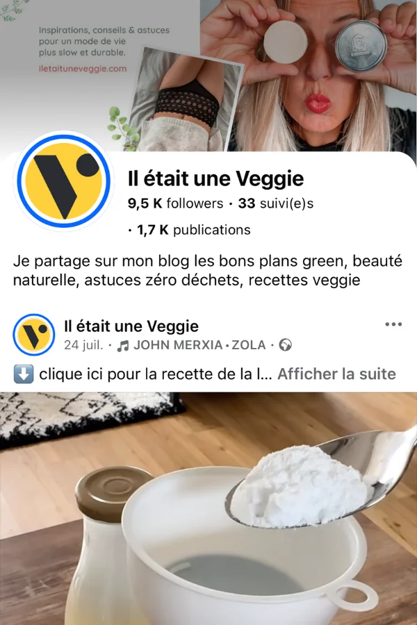 Facebook @iletaituneveggie