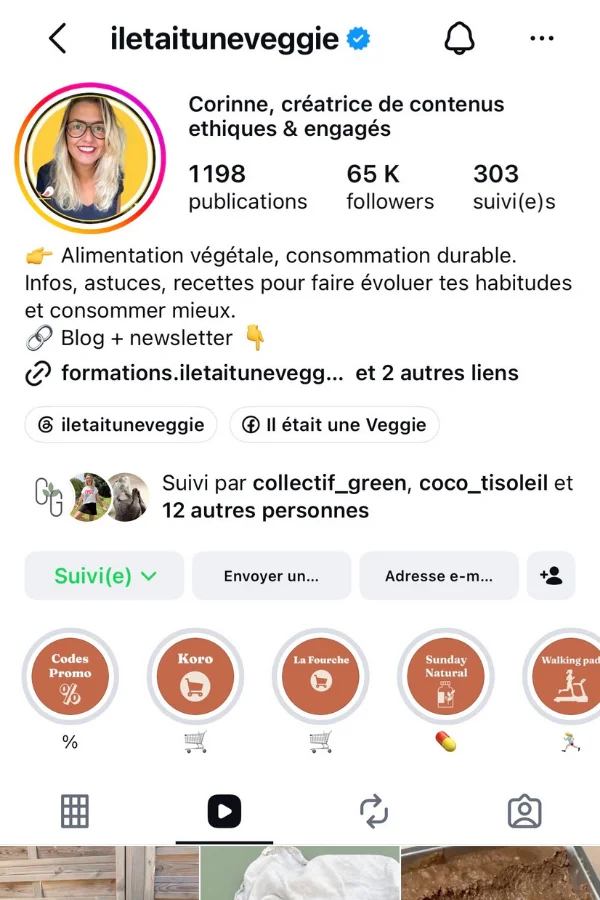 Instagram @iletaituneveggie