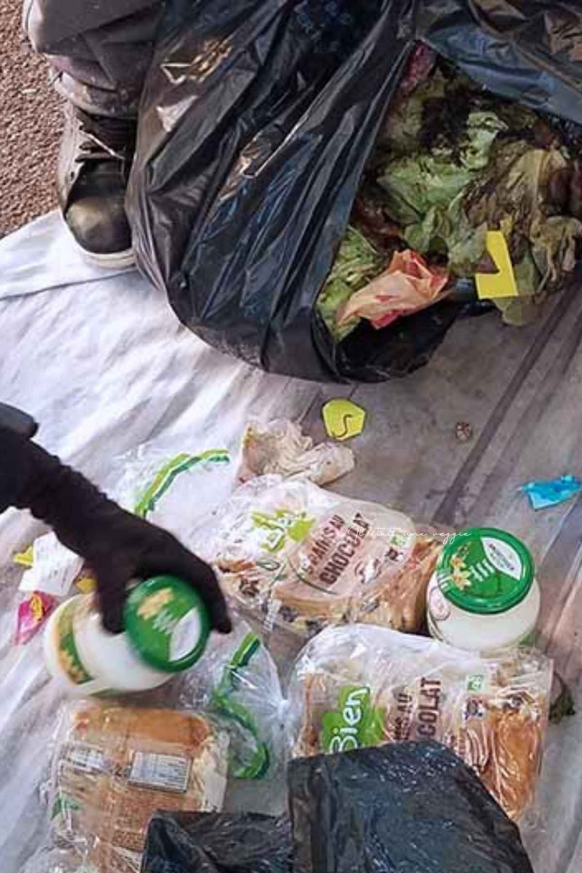 Le freeganisme contre le gâchis alimentaire – Decryptage