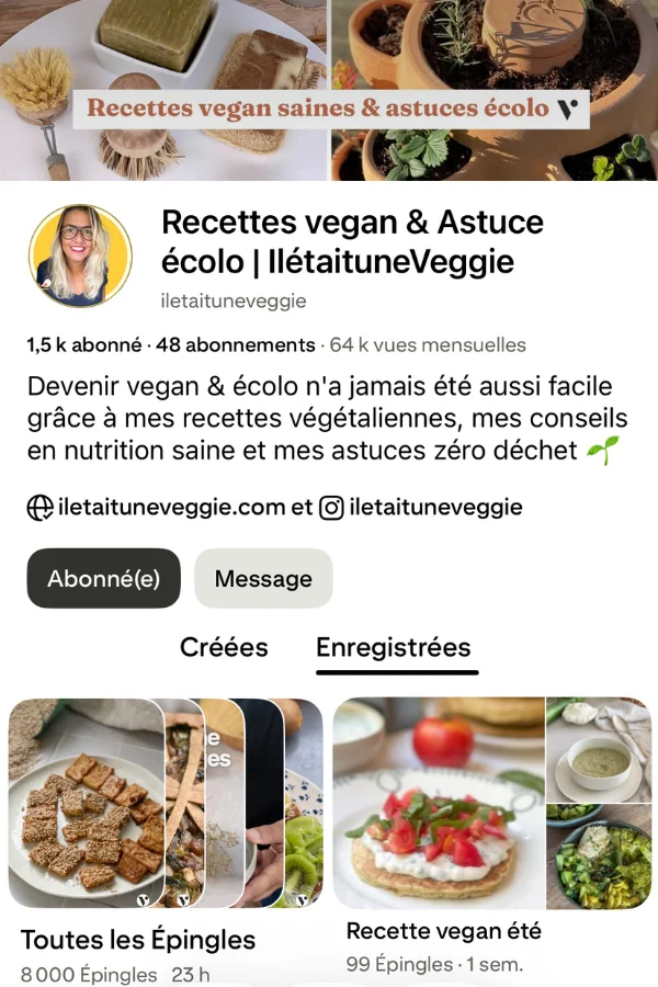 Pinterest @iletaituneveggie