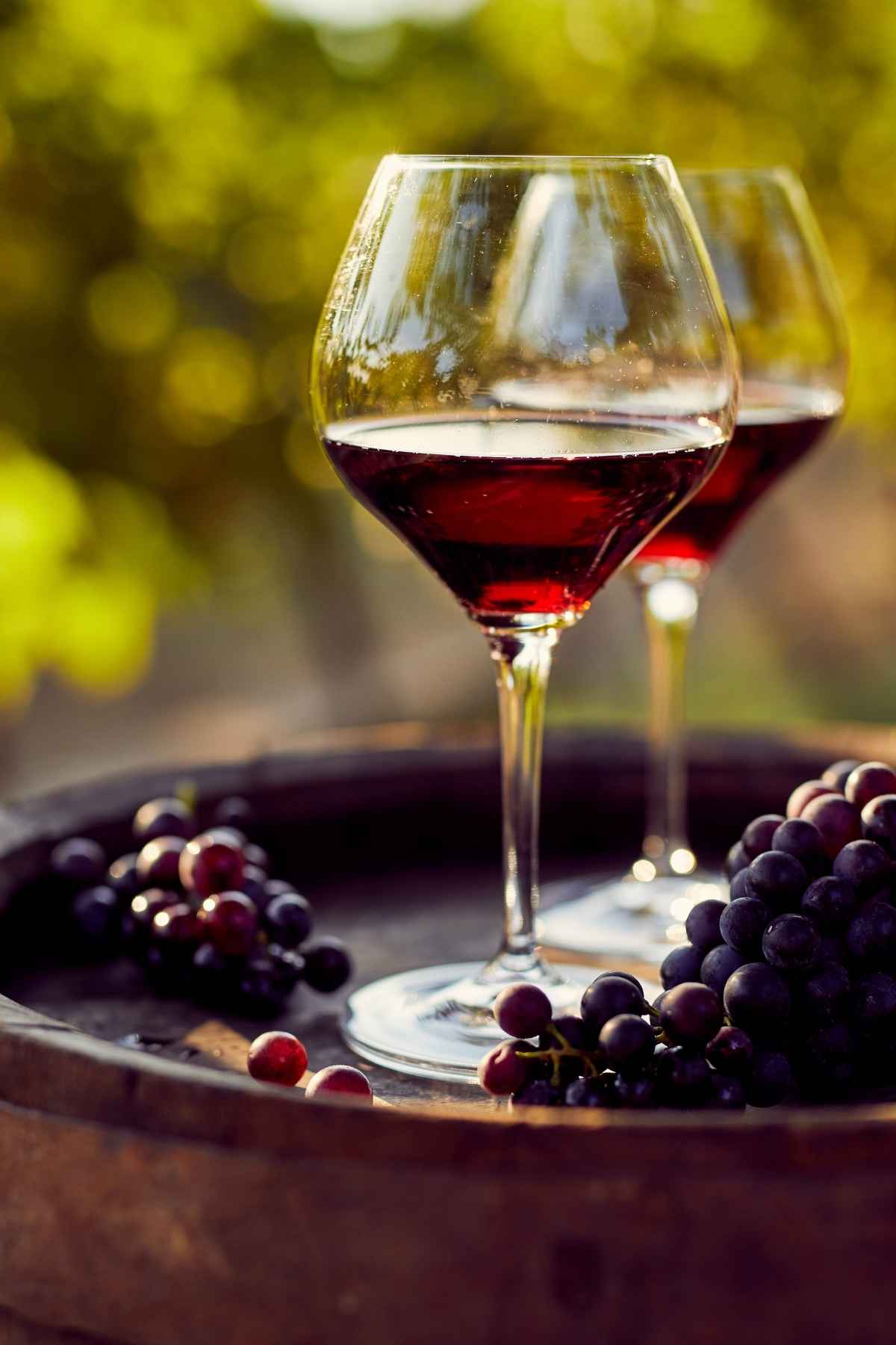 Vin bio, Vin vegan, Vin biodynamique, Vin nature _ Quelles différences