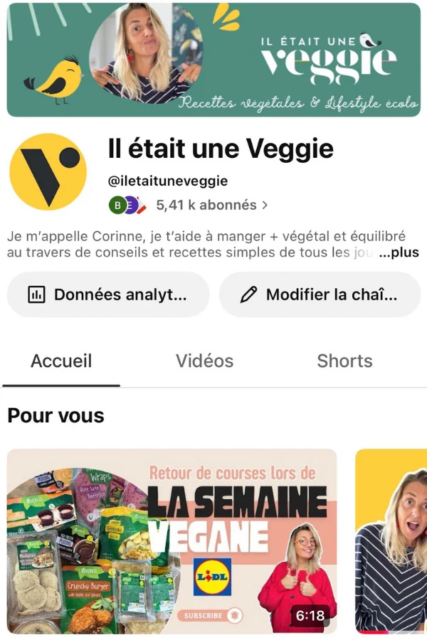 YouTube @iletaituneveggie