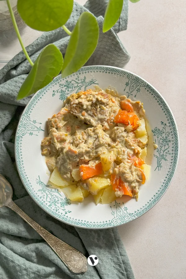 Waterzoi végétarien au seitan