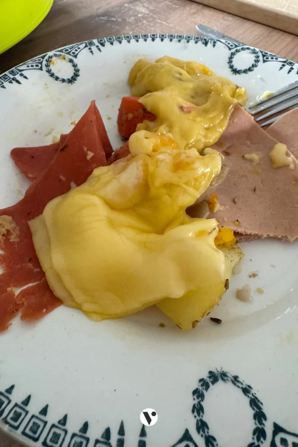 avis fromage a raclette vegan comparatif